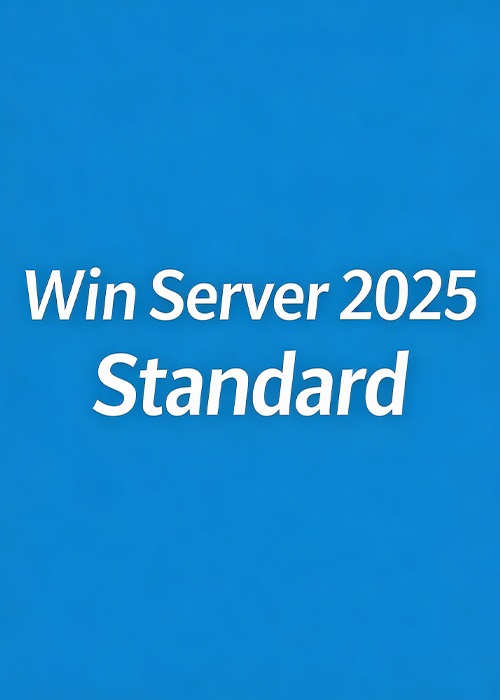 Win Server 2025 Standard Key Global