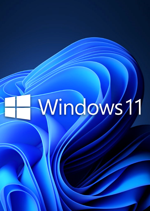 cdkeysales.com, Microsoft Windows 11 Pro OEM CD-KEY GLOBAL Microsoft Windows 11 Pro OEM CD-KEY GLOBAL